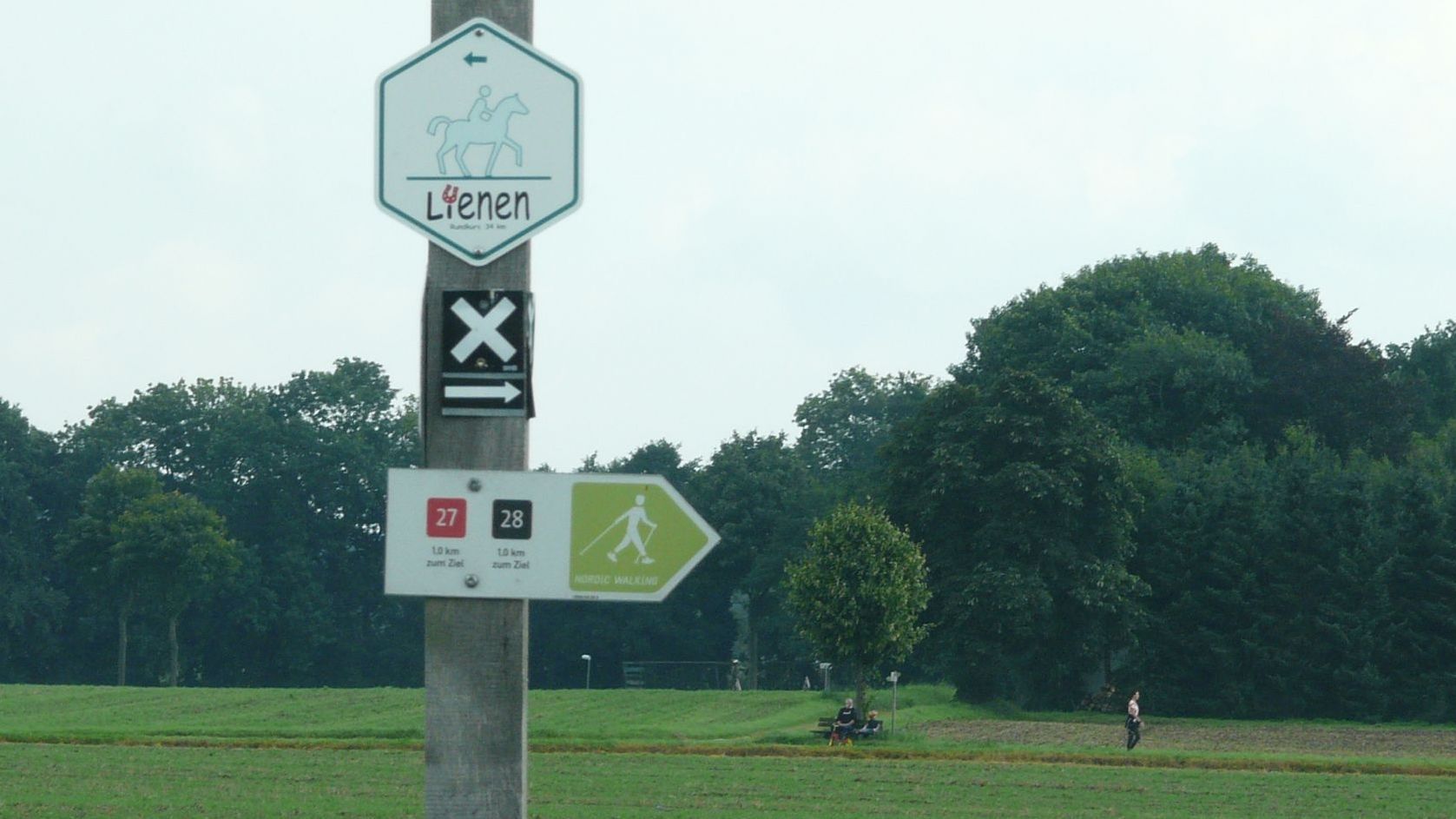 Hinweisschilder an Pfosten für Reitweg, Wanderweg und Walking
