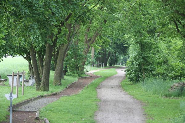 Foto eines Abschnitts der Barfußparkstrecke