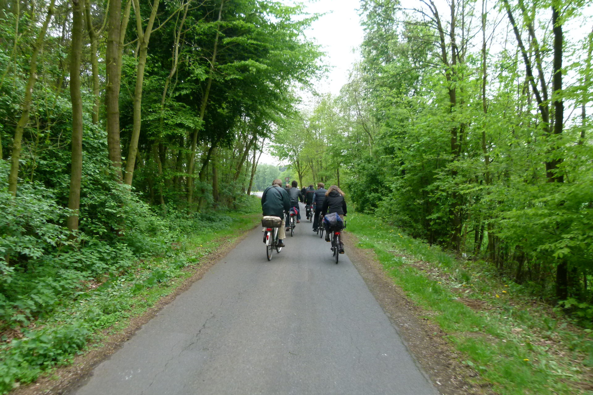 Radfahrer auf der Frosch Route